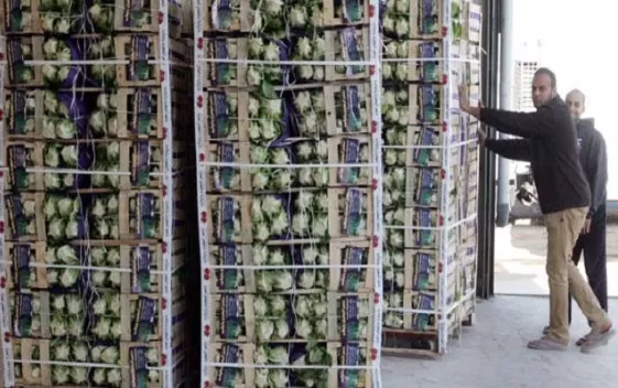 مدار الساعة,أخبار اقتصادية,وزارة الخارجية