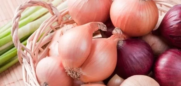 مدار الساعة,أخبار عربية ودولية,وزير الزراعة,وزارة البيئة