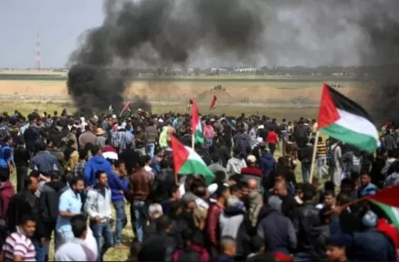 مدار الساعة,أخبار عربية ودولية,وزارة الصحة,قطاع غزة