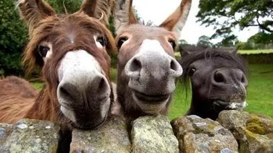 مدار الساعة,أخبار خفيفة ومنوعة