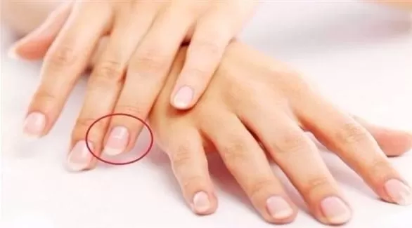 مدار الساعة,أخبار خفيفة ومنوعة