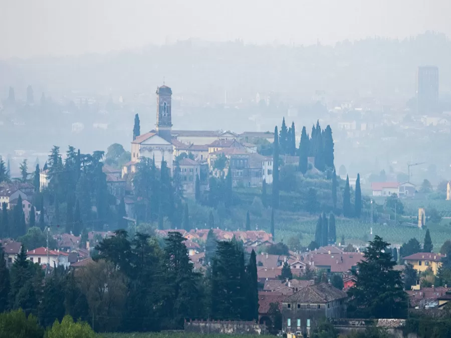 مدار الساعة,أخبار خفيفة ومنوعة,منظمة الصحة العالمية