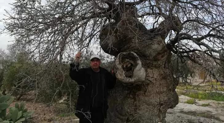 مدار الساعة,أخبار خفيفة ومنوعة,المركز الوطني للبحوث الزراعية,وزارة الزراعة,وسائل التواصل الاجتماعي