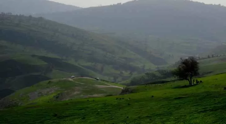 مدار الساعة,أخبار خفيفة ومنوعة