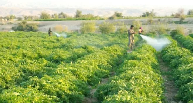 مدار الساعة,أخبار الأردن,اخبار الاردن