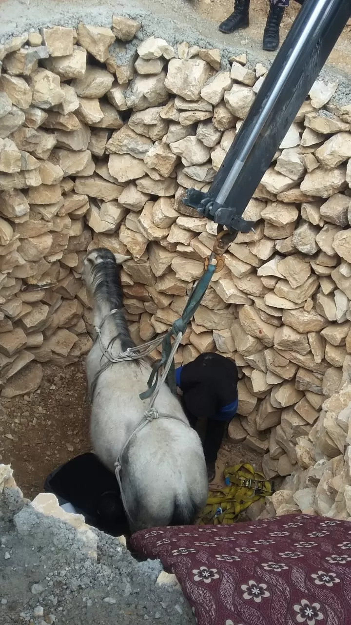 مدار الساعة,أخبار الأردن,اخبار الاردن