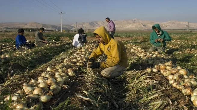 مدار الساعة,أخبار الأردن,اخبار الاردن,وزير العمل,وزارة العمل,البنك المركزي