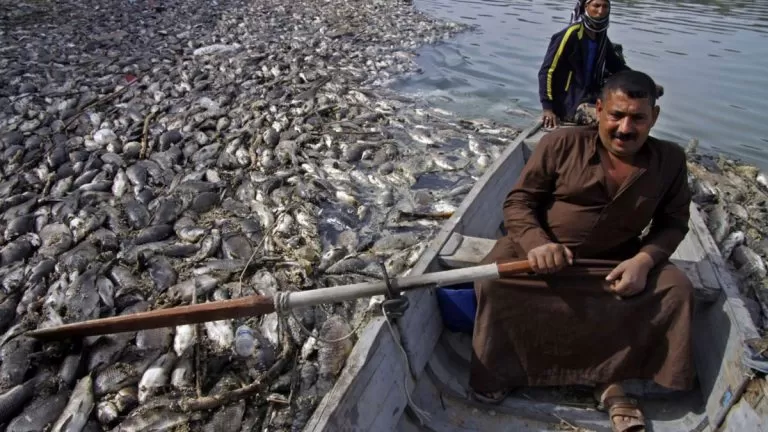 مدار الساعة,أخبار خفيفة ومنوعة,منظمة الصحة العالمية,الأمم المتحدة