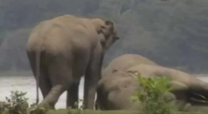 مدار الساعة,Video,فيديو,أخبار خفيفة ومنوعة