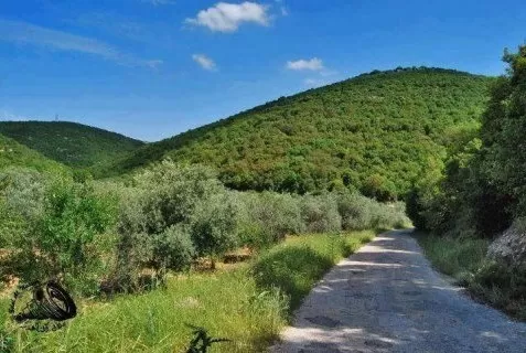 مدار الساعة,أخبار السياحة في الأردن