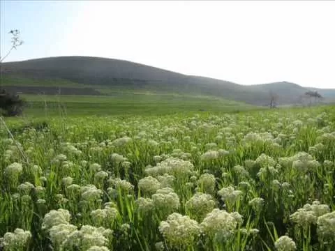 مدار الساعة,الطقس في الأردن اليوم,طقس الأردن,طقس العرب,طقس العرب الاردن,درجات الحرارة