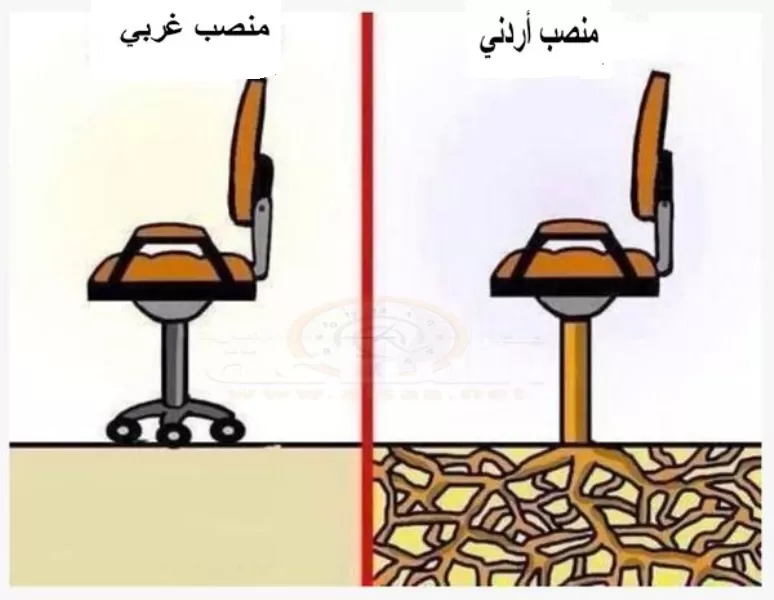 مدار الساعة,مقالات