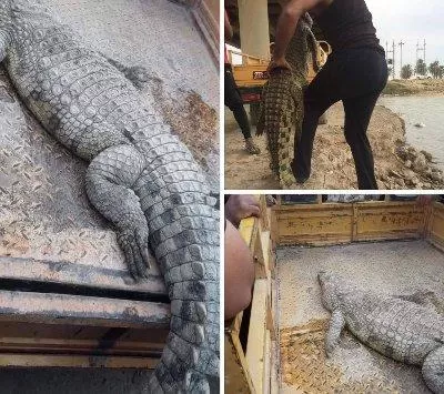 مدار الساعة,أخبار خفيفة ومنوعة,مواقع التواصل الاجتماعي