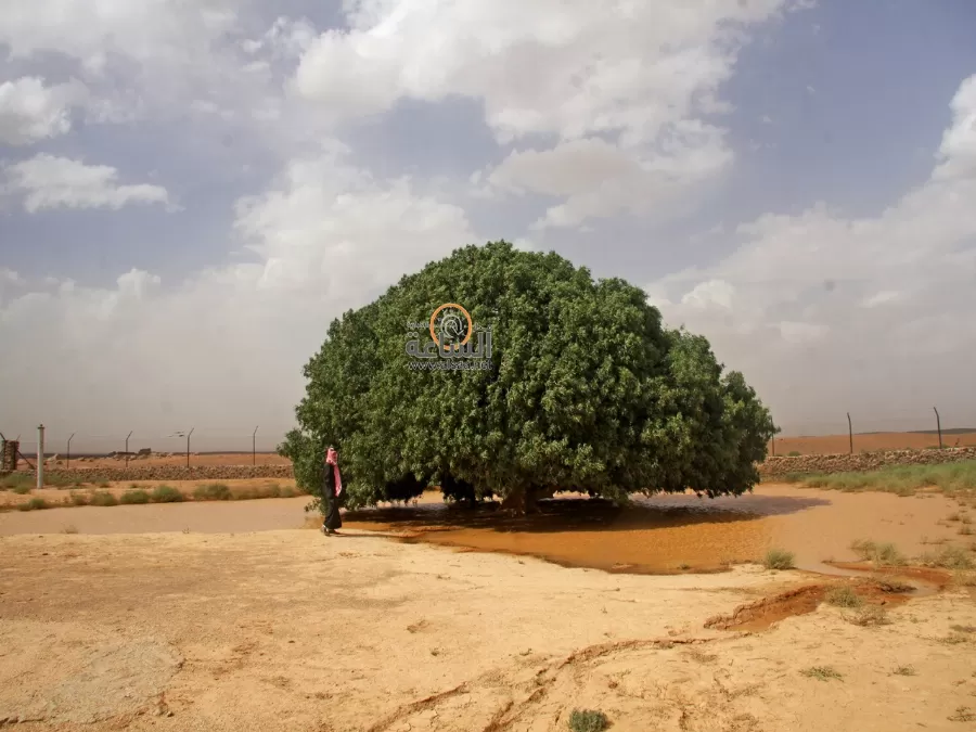 مدار الساعة,أخبار الأردن,اخبار الاردن