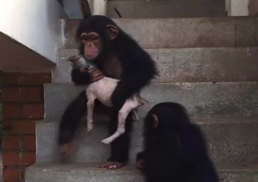 مدار الساعة,Video,فيديو,أخبار خفيفة ومنوعة,مواقع التواصل الاجتماعي