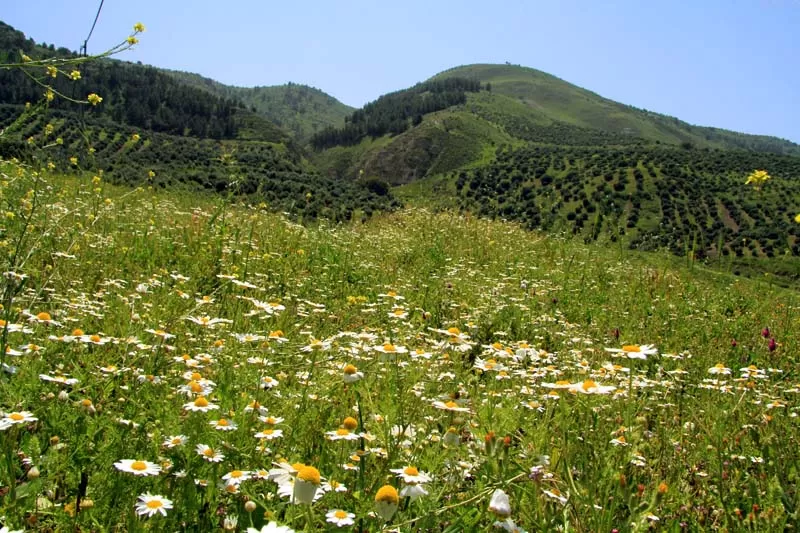 مدار الساعة,الطقس في الأردن اليوم,طقس الأردن,طقس العرب,طقس العرب الاردن,البحر الميت