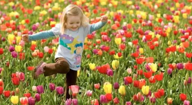 مدار الساعة,الطقس في الأردن اليوم,طقس الأردن,طقس العرب,طقس العرب الاردن,درجات الحرارة