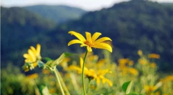 مدار الساعة,الطقس في الأردن اليوم,طقس الأردن,طقس العرب,طقس العرب الاردن