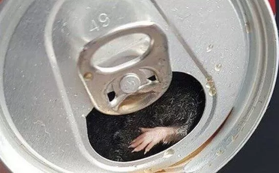 مدار الساعة,أخبار خفيفة ومنوعة