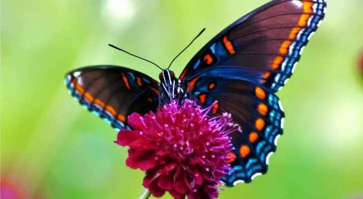 مدار الساعة,أخبار خفيفة ومنوعة,درجات الحرارة