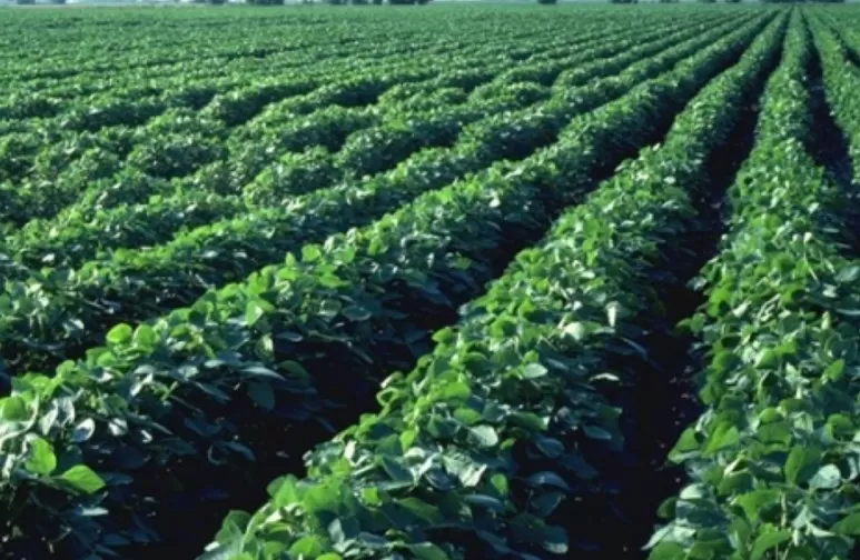 مدار الساعة,أخبار المجتمع الأردني,الأمم المتحدة