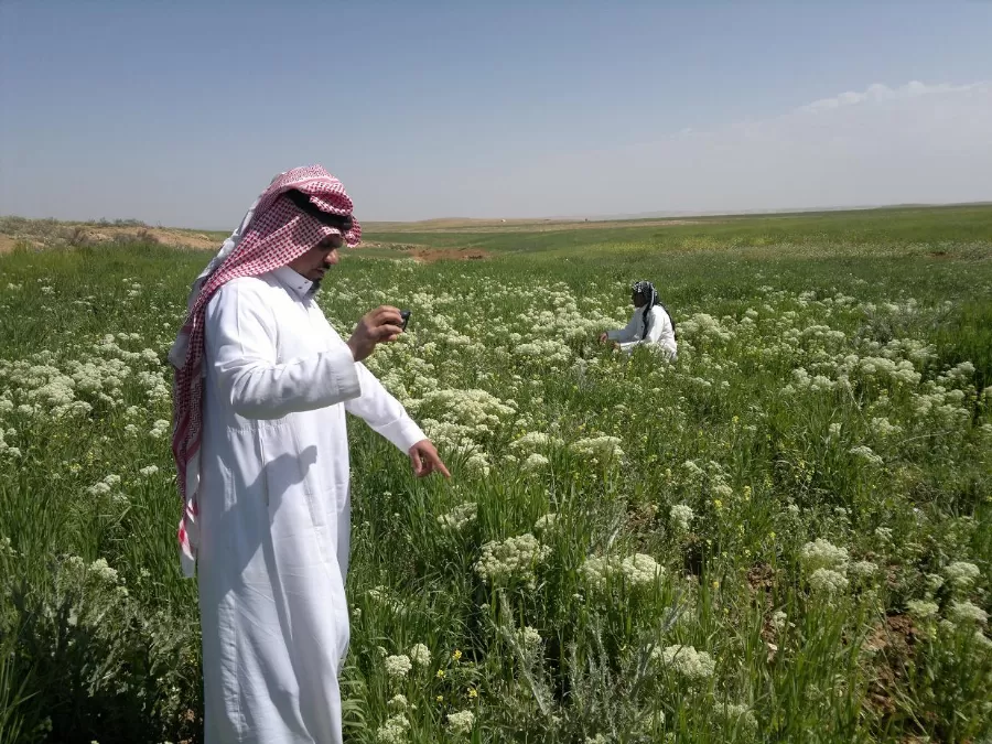 مدار الساعة,الطقس في الأردن اليوم,طقس الأردن,طقس العرب,طقس العرب الاردن,درجات الحرارة