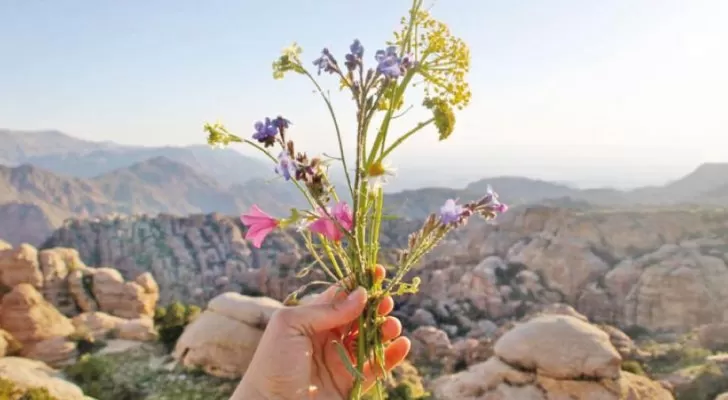 مدار الساعة,الطقس في الأردن اليوم,طقس الأردن,طقس العرب,طقس العرب الاردن,درجات الحرارة,الأرصاد الجوية,البحر الميت