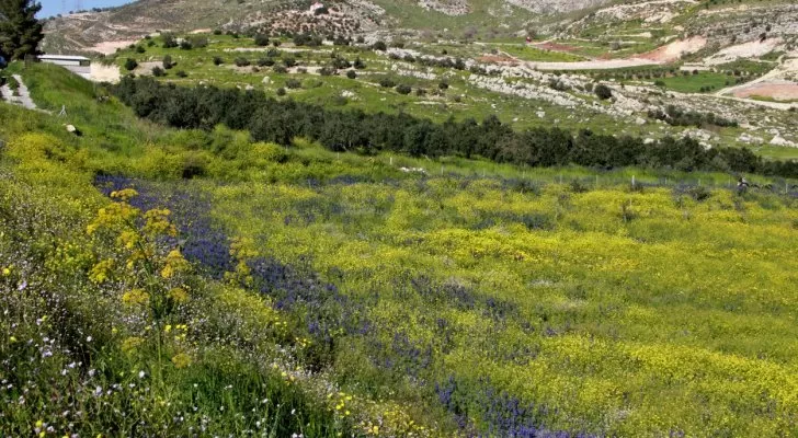 مدار الساعة,الطقس في الأردن اليوم,طقس الأردن,طقس العرب,طقس العرب الاردن,درجات الحرارة,البحر الميت