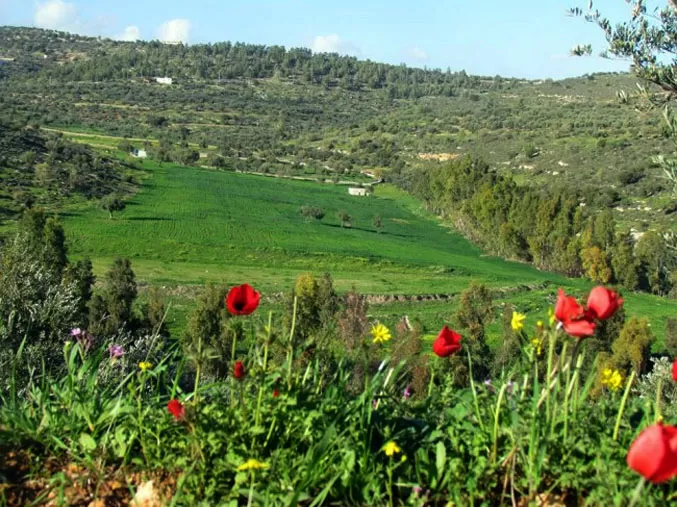 مدار الساعة,الطقس في الأردن اليوم,طقس الأردن,طقس العرب,طقس العرب الاردن,درجات الحرارة العظمى والصغرى,درجات الحرارة