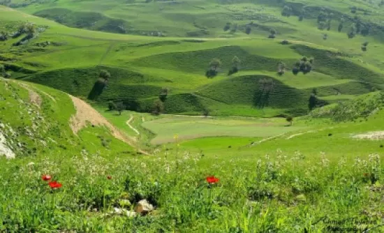 مدار الساعة,الطقس في الأردن اليوم,طقس الأردن,طقس العرب,طقس العرب الاردن,درجات الحرارة العظمى والصغرى,درجات الحرارة,الأرصاد الجوية,البحر الميت