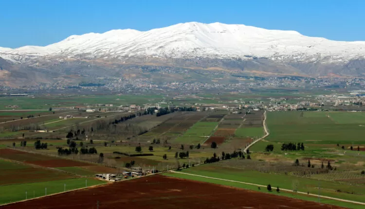 مدار الساعة,أخبار خفيفة ومنوعة,وزارة الزراعة,وسائل التواصل الاجتماعي