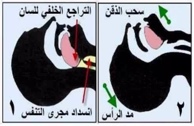 مدار الساعة,مقالات