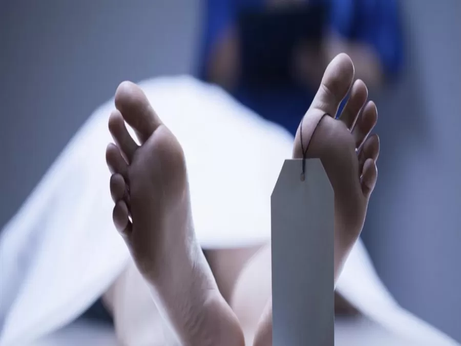 مدار الساعة,أخبار خفيفة ومنوعة