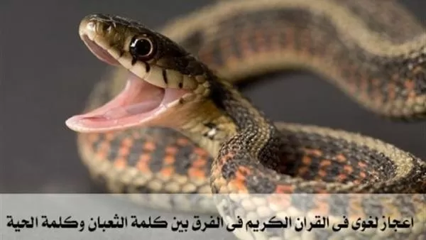 مدار الساعة,شؤون دينية