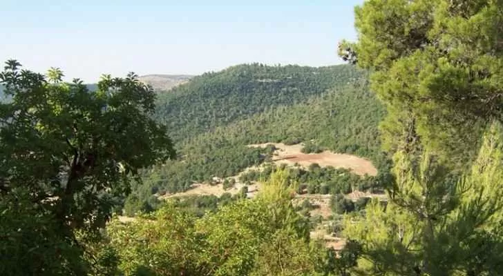 مدار الساعة,أخبار الأردن,اخبار الاردن,وزير البيئة,وزارة البيئة,البحر الميت