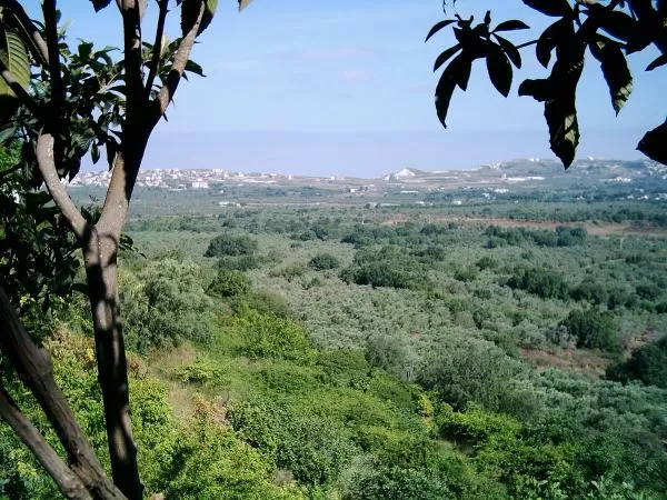 مدار الساعة,أخبار السياحة في الأردن