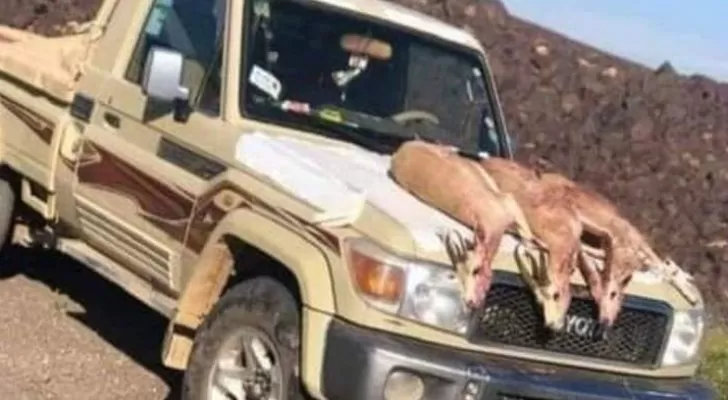 مدار الساعة,أخبار الأردن,اخبار الاردن,مواقع التواصل الاجتماعي