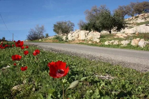 مدار الساعة,أخبار الأردن,اخبار الاردن,درجات الحرارة العظمى والصغرى,درجات الحرارة,البحر الميت