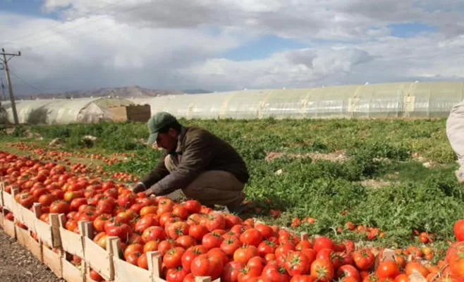 مدار الساعة,أخبار الأردن,اخبار الاردن,الحالة الجوية,رئيس الوزراء,سلطة وادي الأردن,وزارة المالية,وادي الأردن