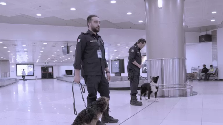 مدار الساعة,أخبار خفيفة ومنوعة,مواقع التواصل الاجتماعي