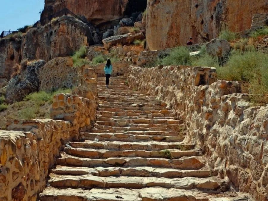 مدار الساعة,أخبار السياحة في الأردن,وزير البيئة,وزير الزراعة,أمانة عمان