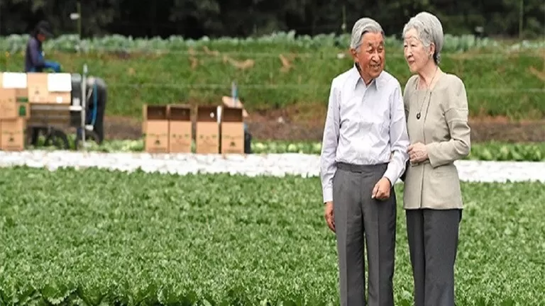 مدار الساعة,أخبار عربية ودولية,رئيس الوزراء,ولي العهد