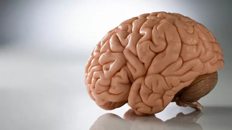 مدار الساعة,أخبار خفيفة ومنوعة