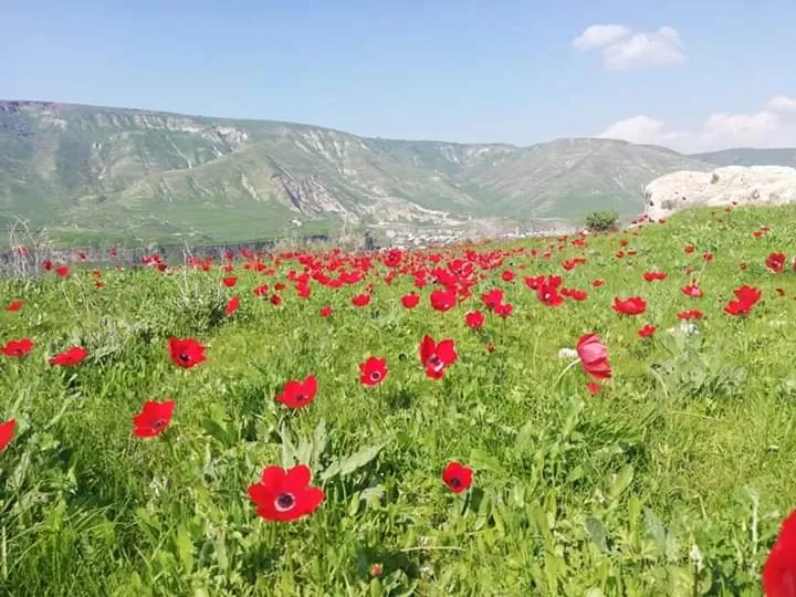 مدار الساعة,الطقس في الأردن اليوم,طقس الأردن,طقس العرب,طقس العرب الاردن,درجات الحرارة العظمى والصغرى,الأرصاد الجوية,درجات الحرارة,البحر الميت