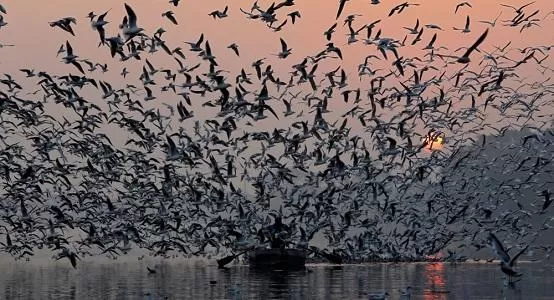 مدار الساعة,أخبار خفيفة ومنوعة