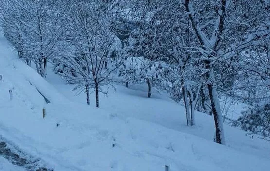 مدار الساعة,أخبار خفيفة ومنوعة,وزارة الداخلية