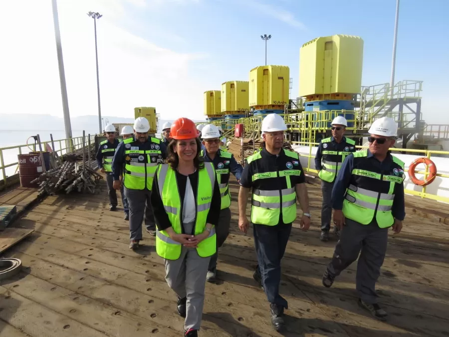 مدار الساعة,أخبار اقتصادية,وزيرة الطاقة والثروة المعدنية,الملك عبدالله الثاني,وزارة الطاقة والثروة المعدنية,الضمان الاجتماعي,هيئة تنظيم قطاع الطاقة والمعادن,وزارة الطاقة,التنمية المستدامة,البحر الميت