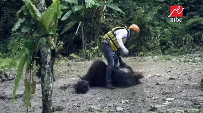 مدار الساعة,Video,فيديو,أخبار ثقافية