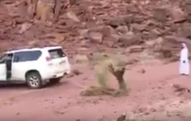 مدار الساعة,Video,فيديو,أخبار خفيفة ومنوعة,مواقع التواصل الاجتماعي