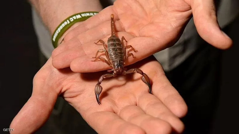 مدار الساعة,أخبار خفيفة ومنوعة